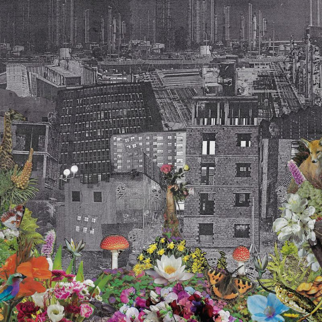 Bloody Head - Perpetual eden (LP) - Velvet Music