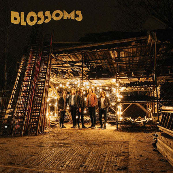 Blossoms - Blossoms (CD) - Velvet Music