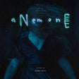 Bobby Krlic - Anemone (LP) - Velvet Music