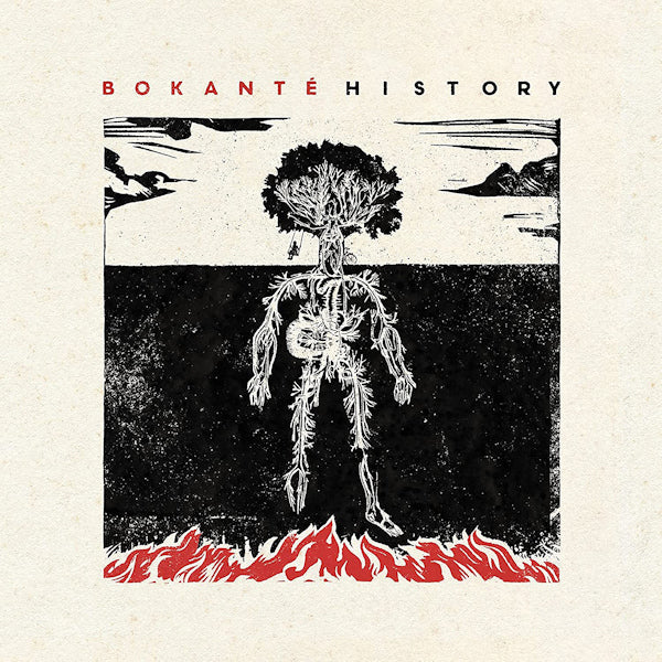 Bokante - History (LP) - Velvet Music