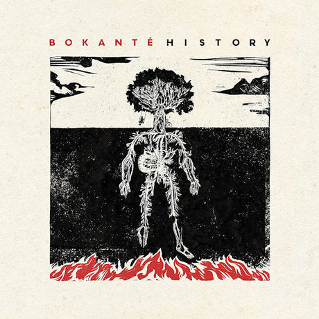 Bokante - History (LP) - Velvet Music