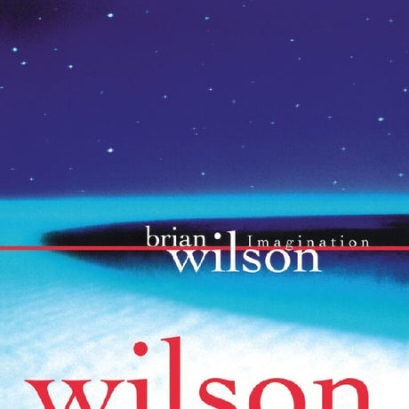 Brian Wilson - Imagination (LP) - Velvet Music