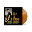 Bruce Springsteen - Only the strong survive (LP) - Velvet Music