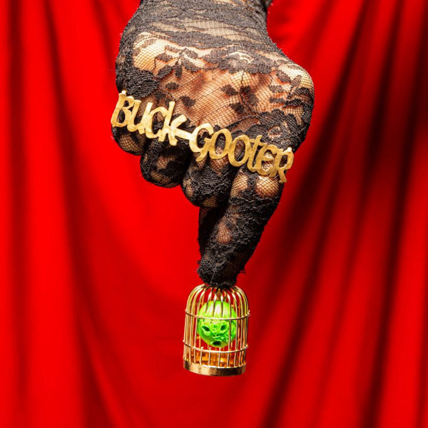 Buck Gooter - Head in a bird cage -coloured- (LP)