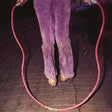 Buffalo Tom - Jump rope (CD) - Velvet Music