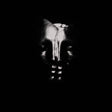 Bullet For My Valentine - Bullet for my valentine (CD) - Velvet Music