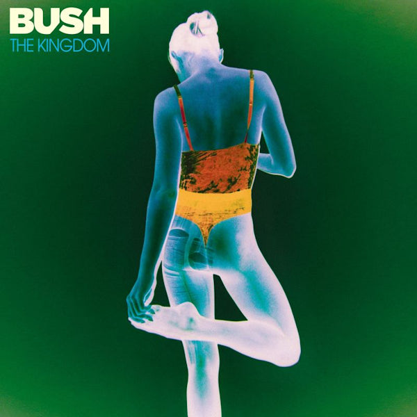 Bush - The kingdom (CD) - Velvet Music