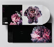 The Slow Show - Still life -coloured- (LP) - Velvet Music