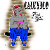 Calexico - Feast of wire (CD)