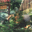Jennifer Castle - Angels of death (LP) - Velvet Music