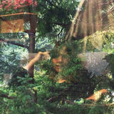 Jennifer Castle - Angels of death (LP) - Velvet Music