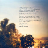 Watchhouse - Blindfaller (LP) - Velvet Music
