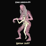 Chad Vangaalen - Shrink dust (LP) - Velvet Music