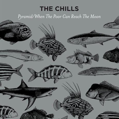 The Chills - Pyramid / when the poor can reach the moon (maxi 45 tours 30 cm)