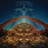 Chris Robinson -brotherhood- - Big moon ritual (CD) - Velvet Music