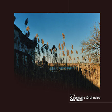 Cinematic Orchestra - Ma fleur (LP) - Velvet Music