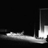 Cloud Nothings - Last building burning (LP) - Velvet Music