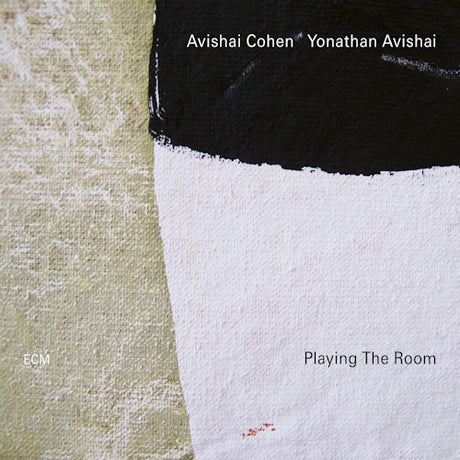Avishai Cohen / Yonathan Avishai - Playing the room (LP) - Velvet Music