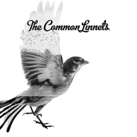 Common Linnets - Common linnets (CD) - Velvet Music
