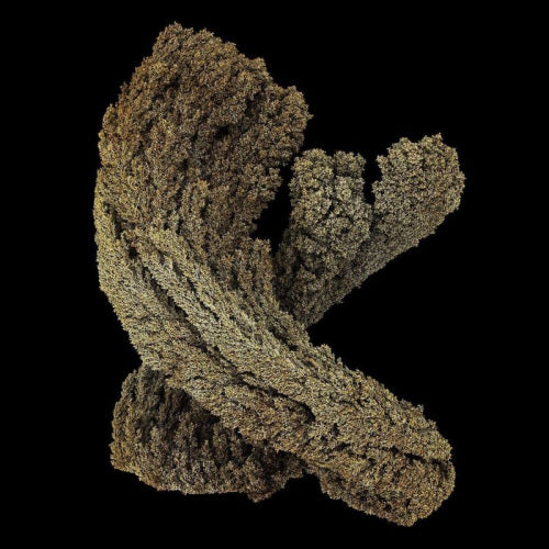Max Cooper - Emergence (LP)