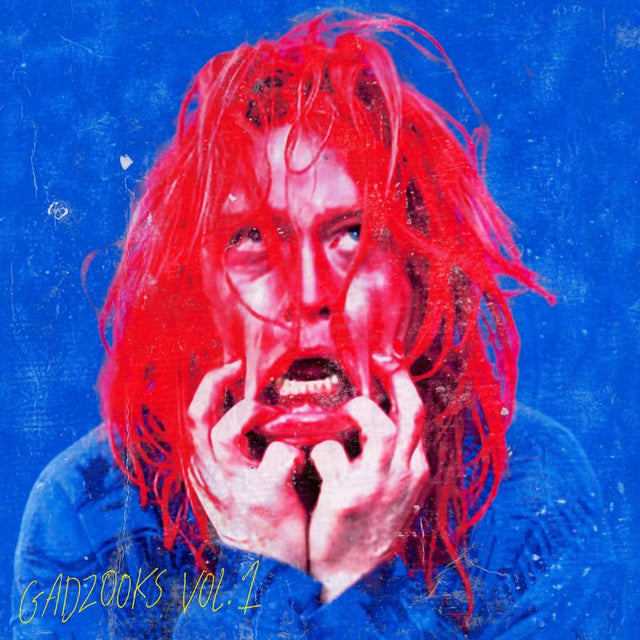 Caleb Landry Jones - Gadzooks vol. 1 (CD) - Velvet Music