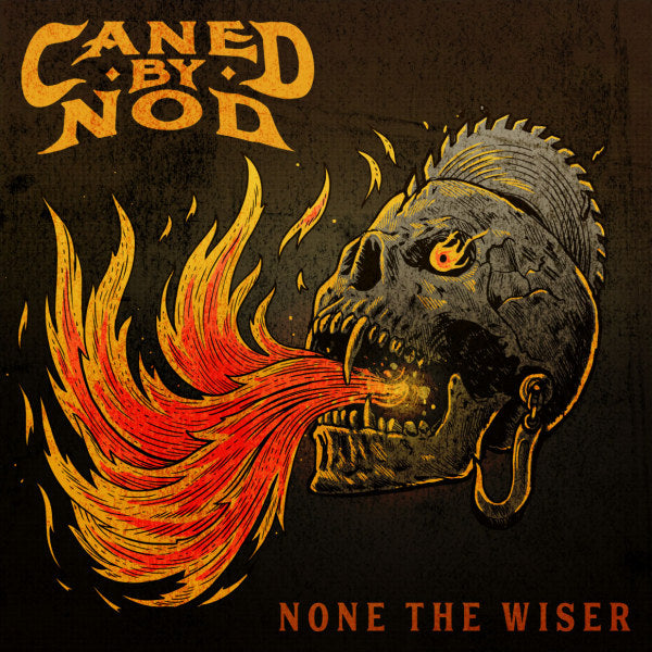 Caned By Nod - None the wiser (LP) - Velvet Music