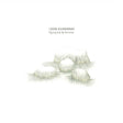 Caspar Auwerkerken - Figuring out my horizons (LP) - Velvet Music