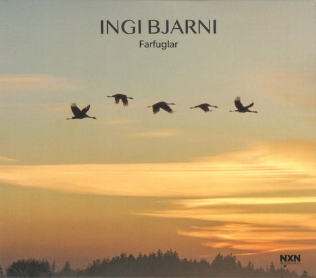 Ingi Bjarni Skúlason - Farfuglar (tweedehands CD) - Velvet Music