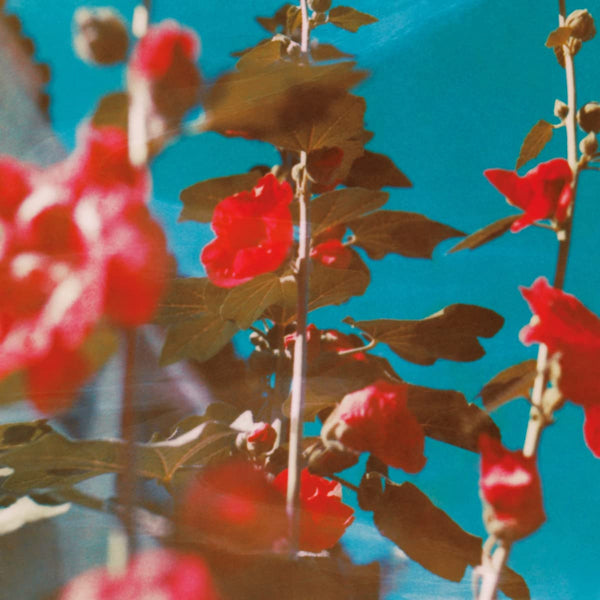 Chad Lawson - Breathe (CD) - Velvet Music