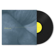 Chantal Acda - Let your hands be my guide (LP) - Velvet Music