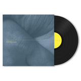Chantal Acda - Let your hands be my guide (LP) - Velvet Music