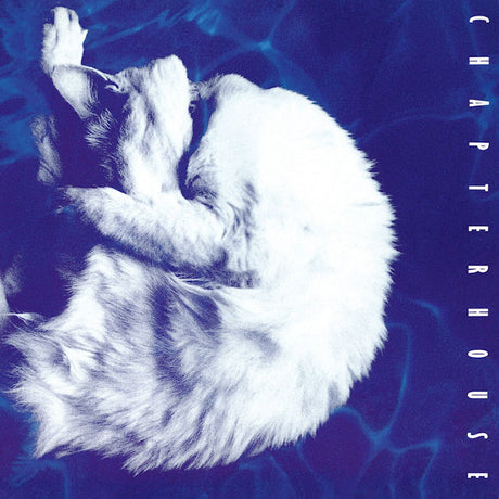 Chapterhouse - Whirlpool (LP)