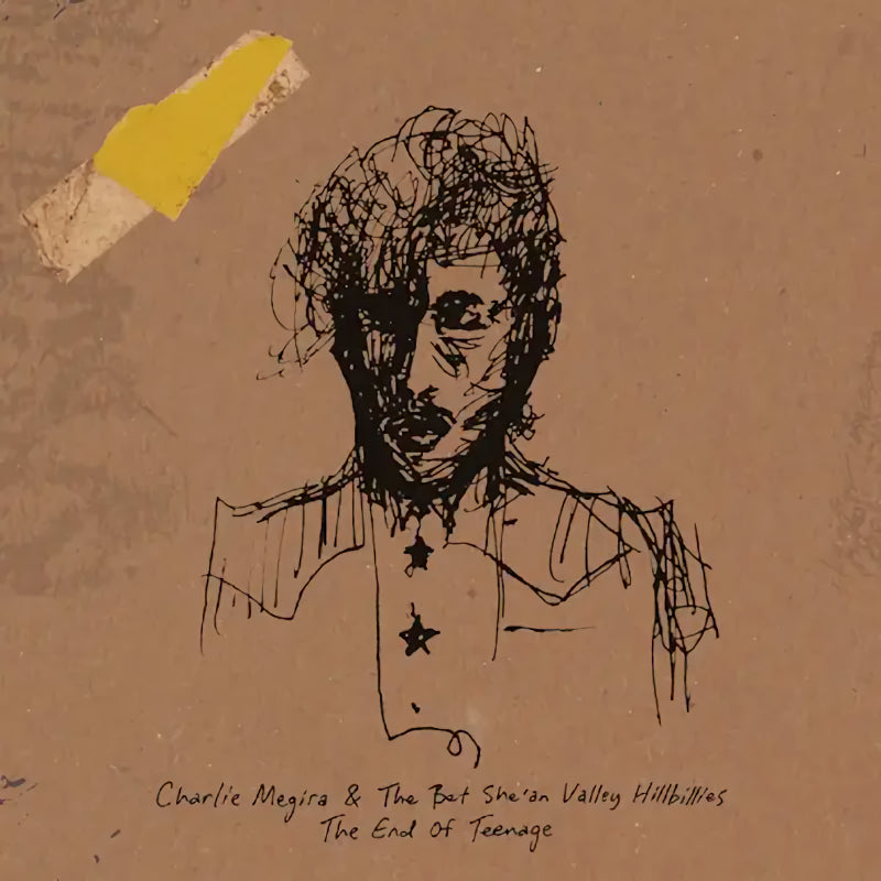 Charlie Megira - The end of teenage (LP)