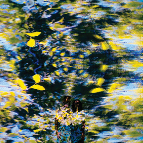 Chaton Laveur - Labyrinthe (LP) - Velvet Music