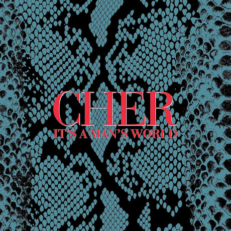 Cher - It's a man's world (LP) - Velvet Music