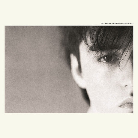 Felt - Crumbling the antiseptic (LP) - Velvet Music