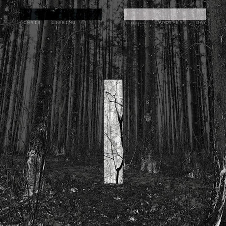 Chris Liebing - Another day (CD) - Velvet Music