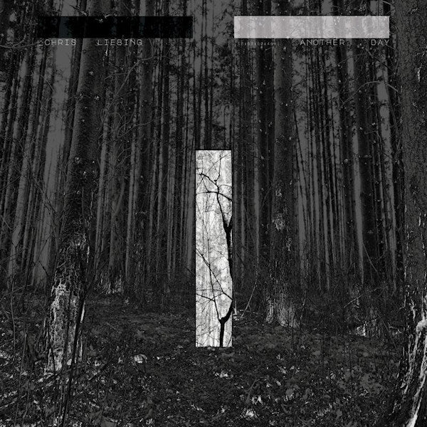Chris Liebing - Another day (LP) - Velvet Music