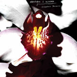 Chrysta Bell & David Lynch - Cellophane Memories  (LP) - Velvet Music