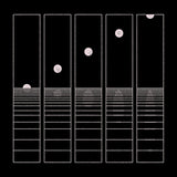 Circles Around The Sun - Let it wander (LP) - Velvet Music