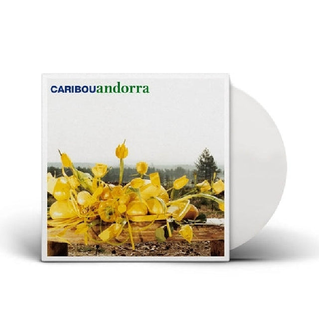 Caribou - Andorra (LP) - Velvet Music