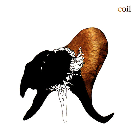 Coil - Black antlers (LP) - Velvet Music