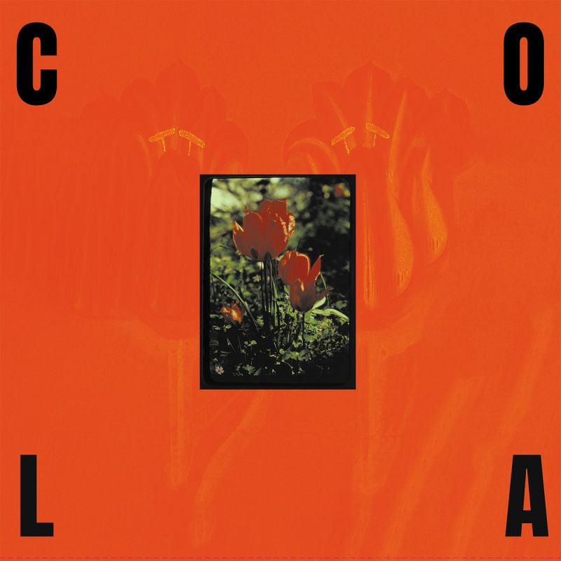 Cola - The gloss (CD) - Velvet Music