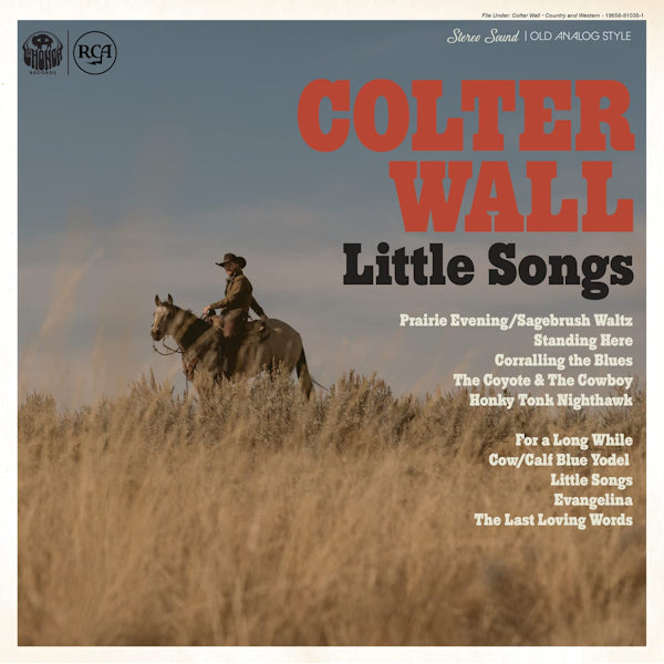 Colter Wall - Little songs (LP)