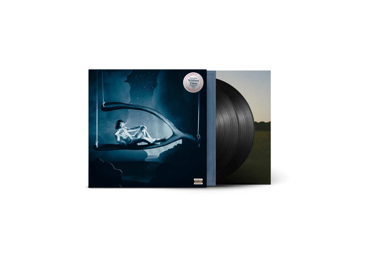 Conan Gray - Wishbone deluxe (LP)
