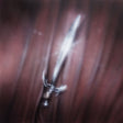 Courting - New last name (LP) - Velvet Music