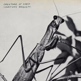 Courtney Barnett - Creature Of Habit (LP) - Velvet Music