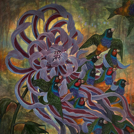 Covet - Technicolor (LP) - Velvet Music