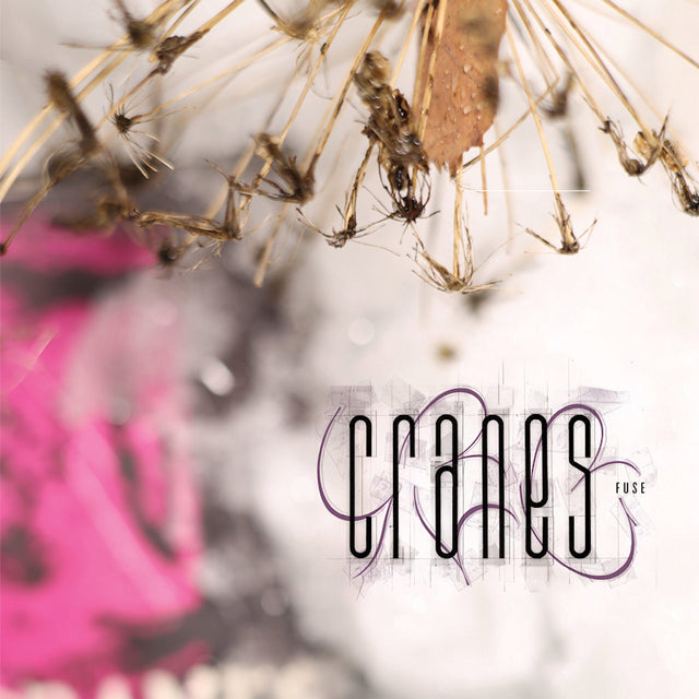 Cranes - Fuse (CD) - Velvet Music