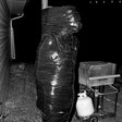 Crave - Inner war delirium (LP) - Velvet Music